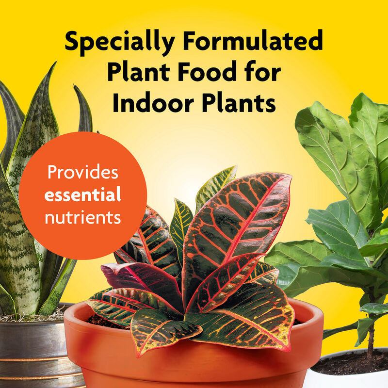 Miracle-Gro® Indoor Plant Food image number null