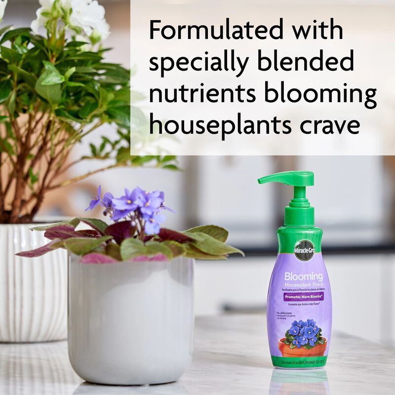 Miracle-Gro® Blooming Houseplant Food image number null