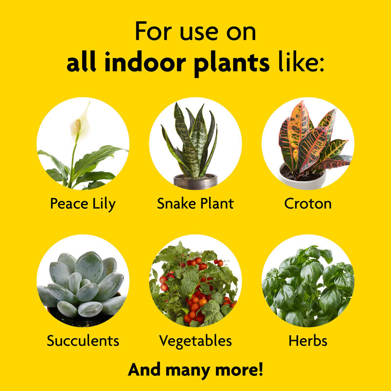 Miracle-Gro® Indoor Plant Food image number null