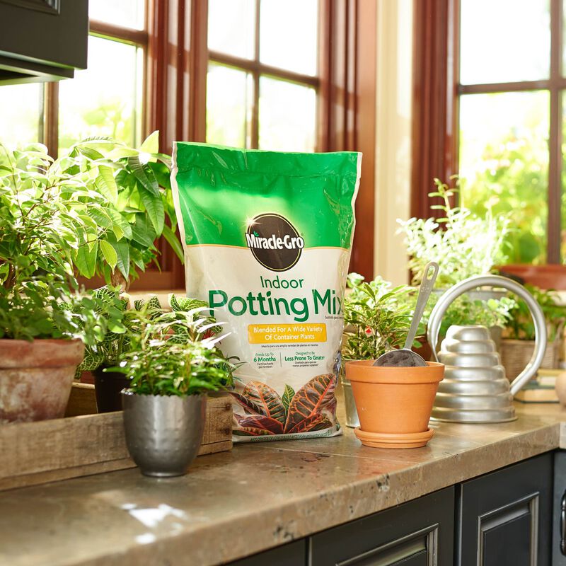 Miracle-Gro® Indoor Potting Mix image number null