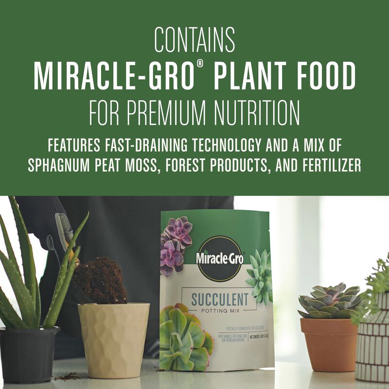 Miracle-Gro® Succulent Potting Mix image number null