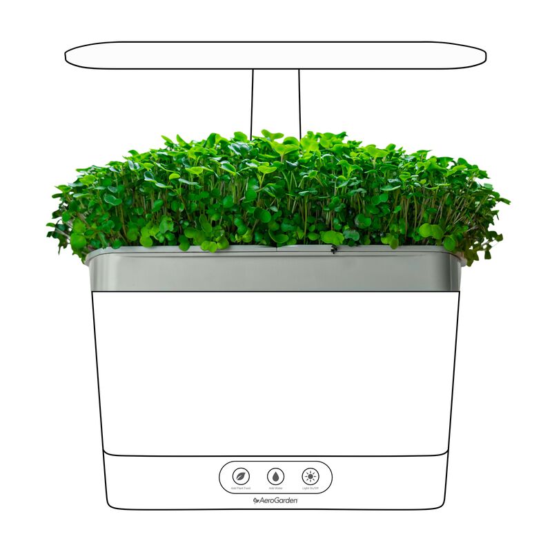 Microgreens Kit for Harvest Gardens image number null