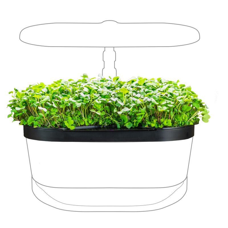 Bounty Elite with MicroGreens Kit Bundle image number null