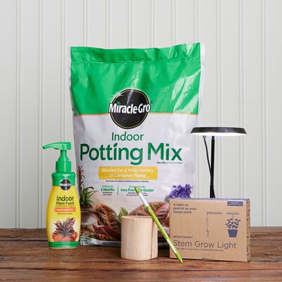 Everything But the Plant Kit