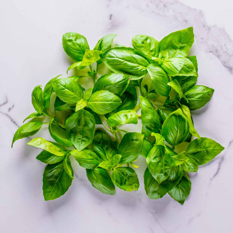 Pesto Basil Seed Pod Kit image number null